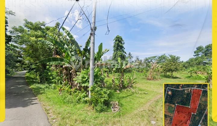 Dijual Tanah dekat Pantai di Negara Jembrana Bali