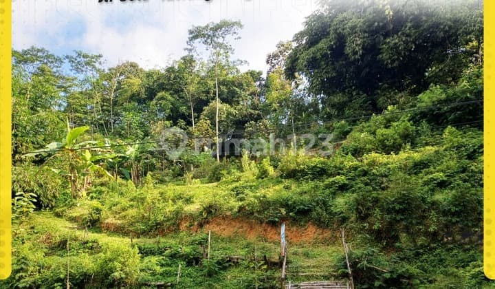 Land for Sale by the Solo Tawangmangu Karangpandan Main Road.