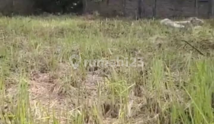 Di Jual Tanah di Jln. Rawa Bokor Kel. Benda Kec. Benda Kota Tangerang