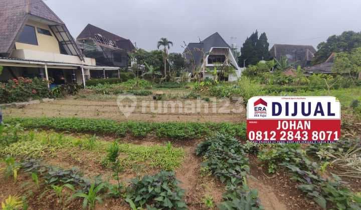 Tanah Di Cipanas Dekat Hotel Le Eminance