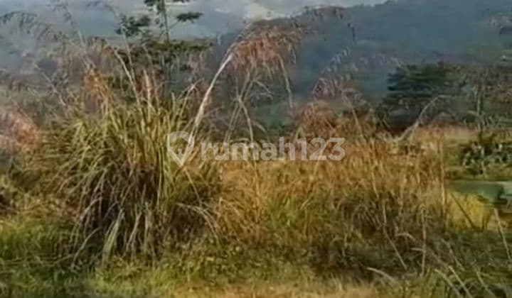 Jonggol daratan dan lembah, villa, peternakan, perkebunan