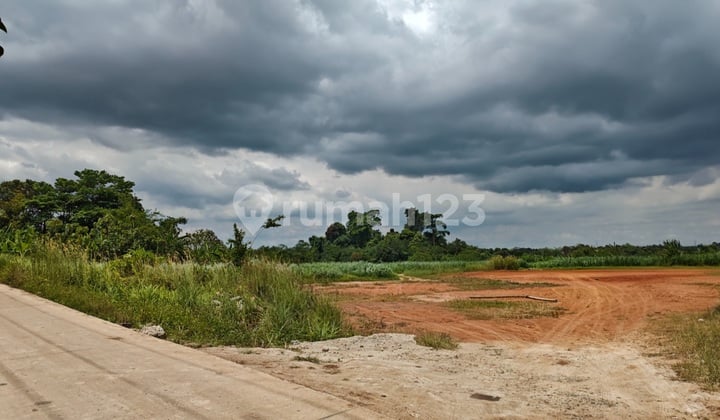 Dijual Cepat Tanah di Raya Serang, Pandeglang, Kemanisan