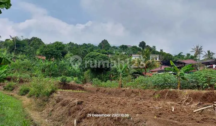 Dijual Kavling di Desa Pasir Pogor, Cijeruk, Bogor (Dekat Warso Farm Durian)
