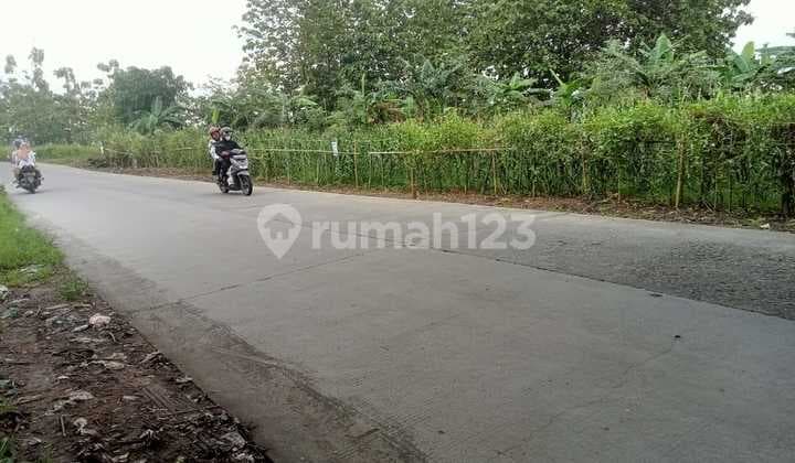 Disewakan Tanah Kebun Strategis Mranggen