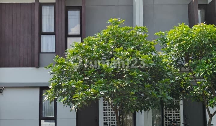 Rent a Comfortable House in the Flora Cluster, Summarecon Bandung, Near Mall