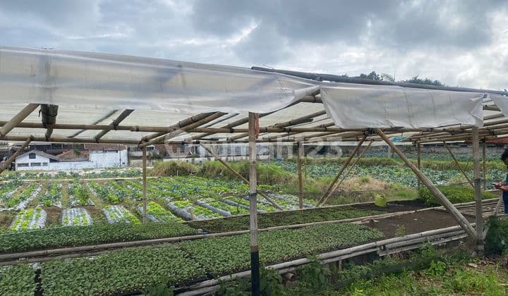 Tanah Mainroad Lembang Cocok untuk Usaha