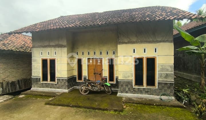 Rumah Nyaman Diwilayah Pesawaran Lampung