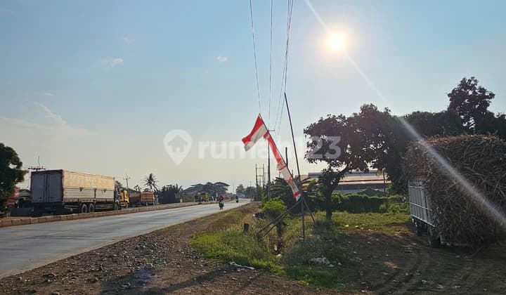 LAND FOR SALE ON THE NORTH COAST MAIN ROAD 1 PAMANUKAN SUBANG, NEAR PAMANUKAN TOLL GATE AND PATIMBAN PORT
