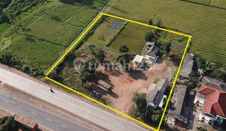 Dijual Tanah Strategis - Jalan Nasional 1 Pantura, Pamanukan Subang Dekat Pelabuhan Patimban | Potensi Tinggi untuk Pergudangan & Industri