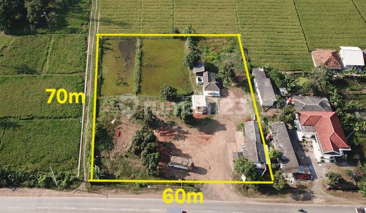 Dijual Tanah Murah Pinggir Jalan Pantura Subang Lokasi Strategis Dekat Akses Jalan Tol