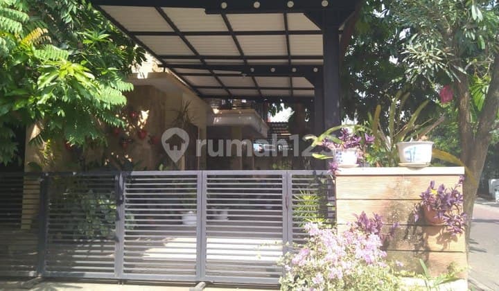 Turun 1M masih Nego Tipis - International Village Citraland