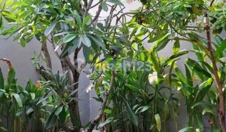 Rumah 2 Lantai With Private Pool Selangkah Radial Road