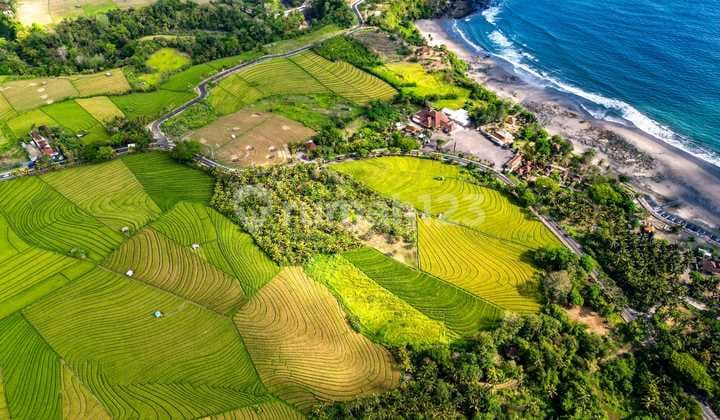 Tanah Suopr Murah View Sawah Dan Dekat Laut