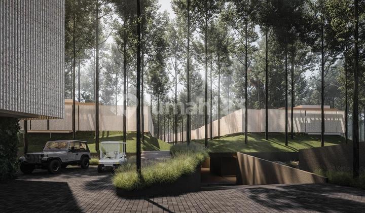Wellness Luxury Villa & Apartement In Canggu
