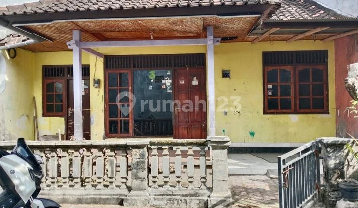 Rumah Buc di Kebo Iwa Padang Sambian
