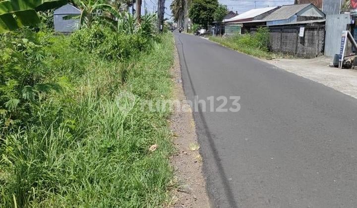Tanah Strategis di Jalan Utama Nyitdah Tabanan Cocok untuk Perumahan/ Villa
