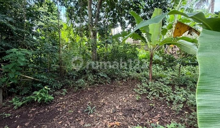 Tanah Strategis di Lotunduh