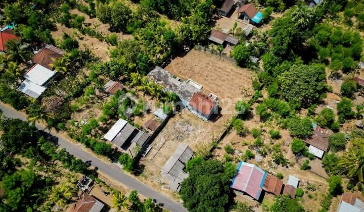 Land and Building of Swiftlet Nest in Singaraja