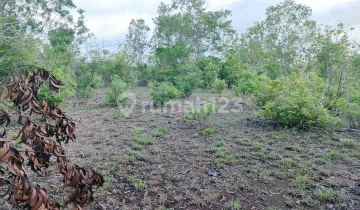 For Rent Tanah Strategis Di Ungasan
