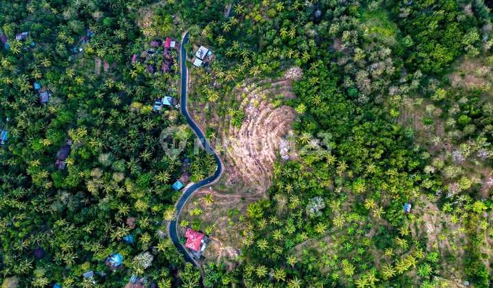 Land with a Beautiful View in Tejakula Suitable for a Resort or Villa