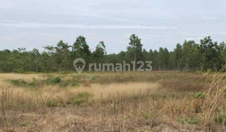 TANAH DIJUAL DITEPI JALAN UTAMA (JL. GARUDA SAKTI KM 11 )