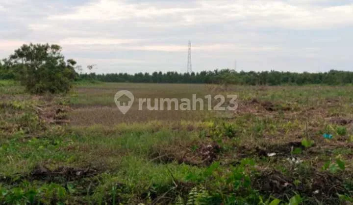 TANAH DI JUAL SEKITARAN AIR HITAM (JL. AIR HITAM SIAK 2 ) TANAH DI JUAL SEKITARAN AIR HITAM (JL. AIR HITAM SIAK 2 )