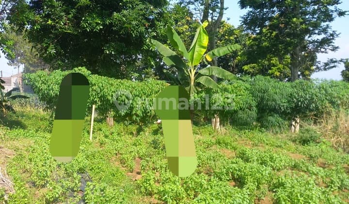 Dijual Tanah Dlm Komplek.katumiri Cihnjuang