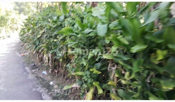 For sale cheap strategic land in Sayap Dago.