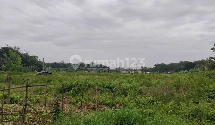 Kavling Siap untuk di Bangun di Klapanunggal Bogor