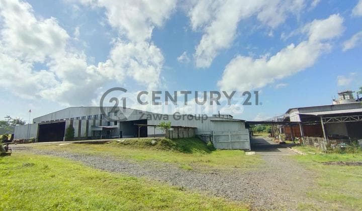 Dijual Pabrik Kayu di Jember Jawa Timur