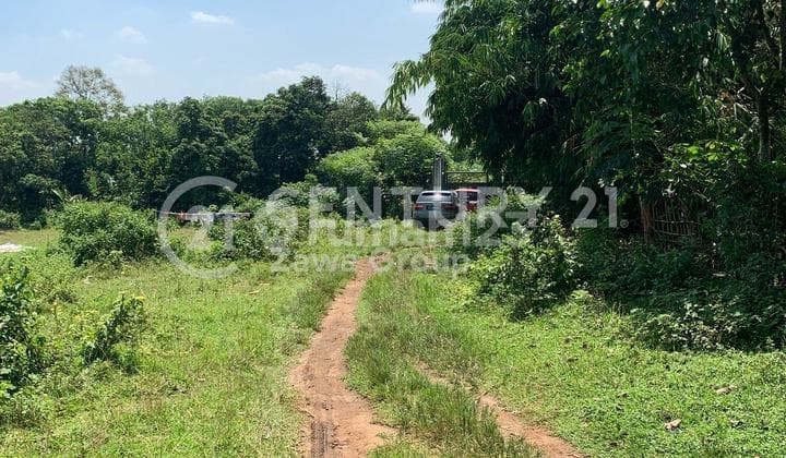 Sell Fast Strategic Land Location in Cekeusal Serang Banten