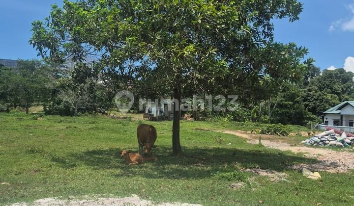 Lahan Kavling Siap Bangun Kampung Timur Akses Strategis