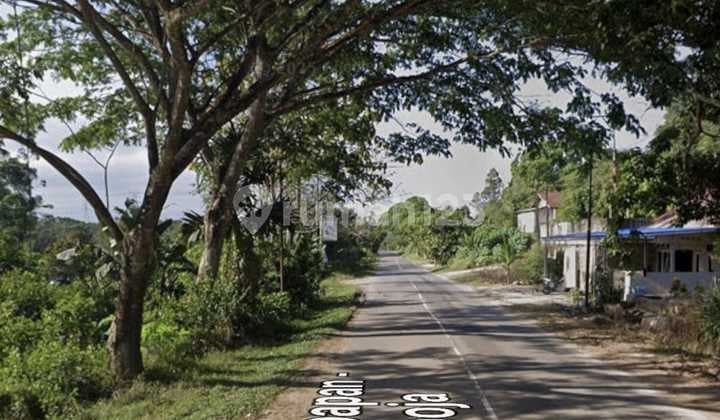 Lahan Luas Cocok Untuk Perumahan Atau Pergudangan Murah Meriah