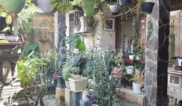 Rumah Bagus Lokasi Menarik SHM di Munggu Tt