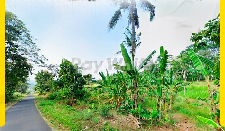 Tanah Siap Pakai Singkil Karanggeneng Boyolali