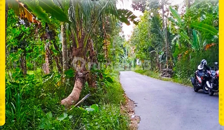 TANAH SIAP PAKAI PENGGUNG BOYOLALI READY TO SALE IN STRATEGIC LOCATION TANAH SIAP PAKAI PENGGUNG BOYOLALI READY TO SALE IN STRATEGIC LOCATION