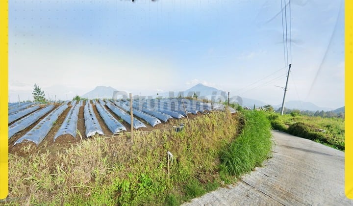 TANAH SIAP BANGUN DI KOPENG SALATIGA