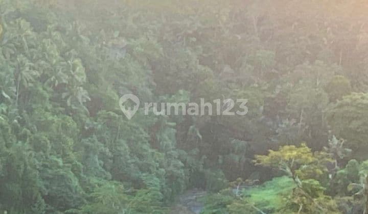 Tanah Jual Loksi Kedewatan