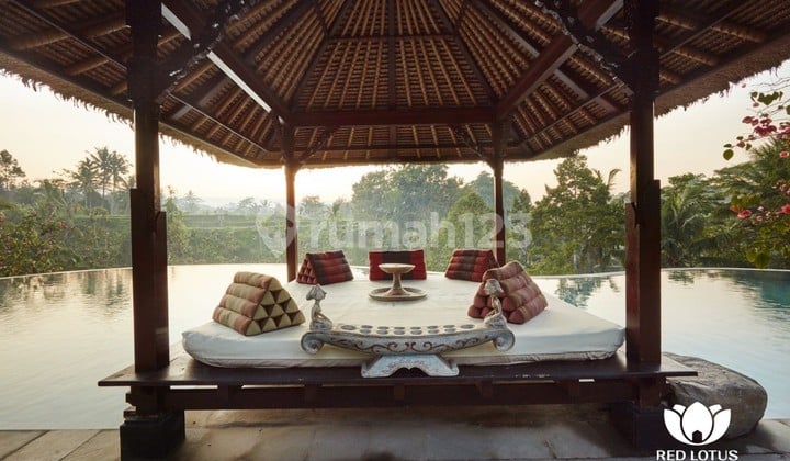 Villa For Sale in Payangan Location