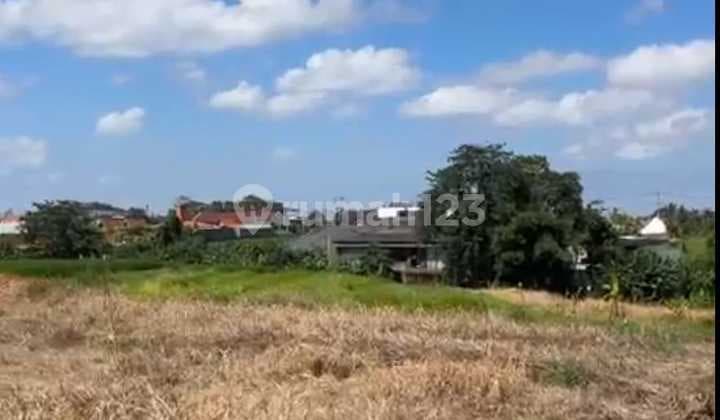 Land for Sale in Seseh Location