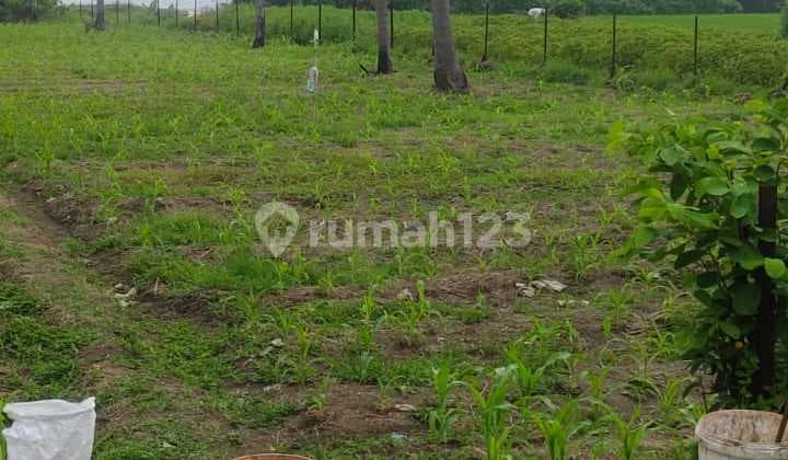 Tanah Jual Lokasi Pasut