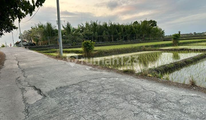 Tanah Jual Lokasi Nyanyi
