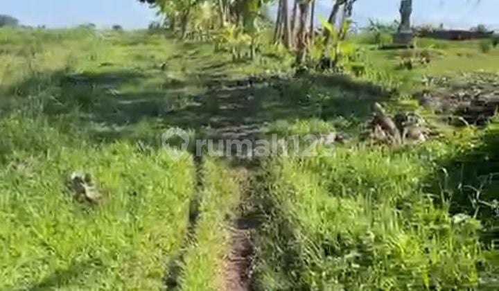 Land for Sale Location Kedungu