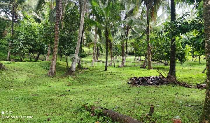 Tanah Jual Lokasi Lalanglinggah