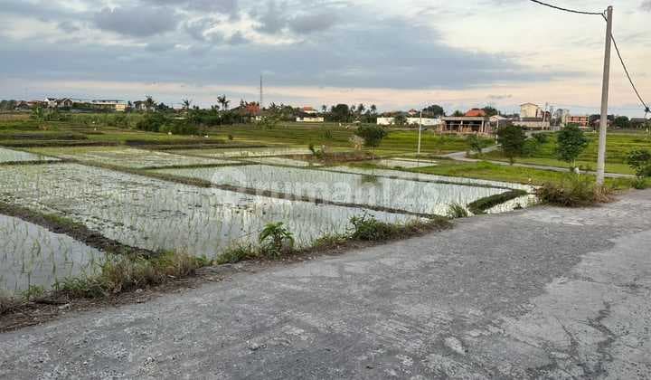 Tanah Jual Lokasi Nyanyi
