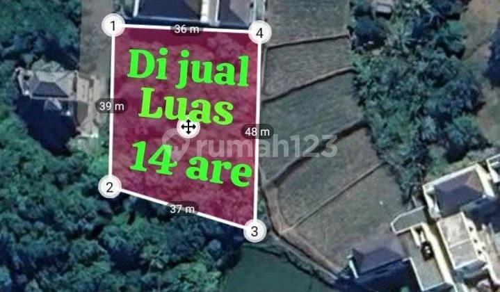 Tanah Jual Lokasi Ketewel Tanah Jual Lokasi Ketewel