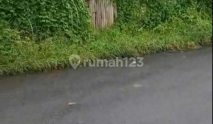 Land for Sale Location Ubud