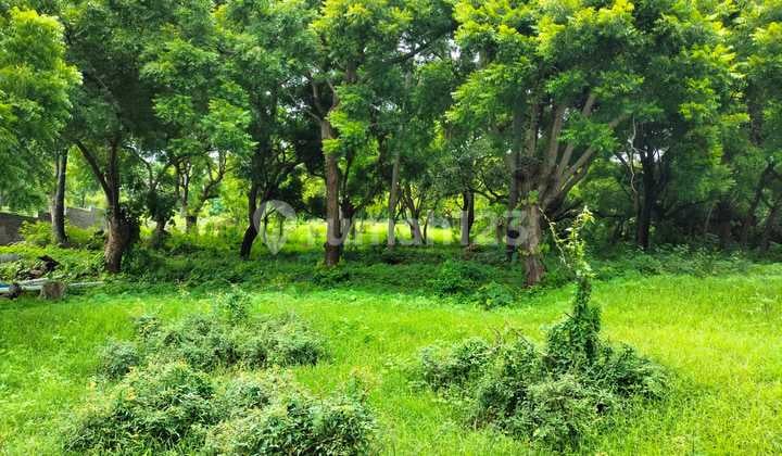 Land for Sale Location Tulamben