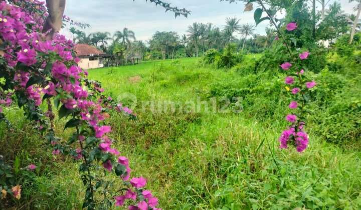 Tanah Jual Lokasi Ubud