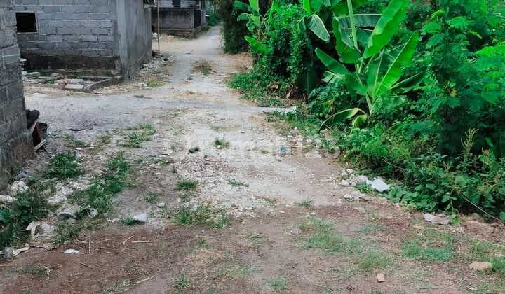 Land for Sale in Kerobokan Location.